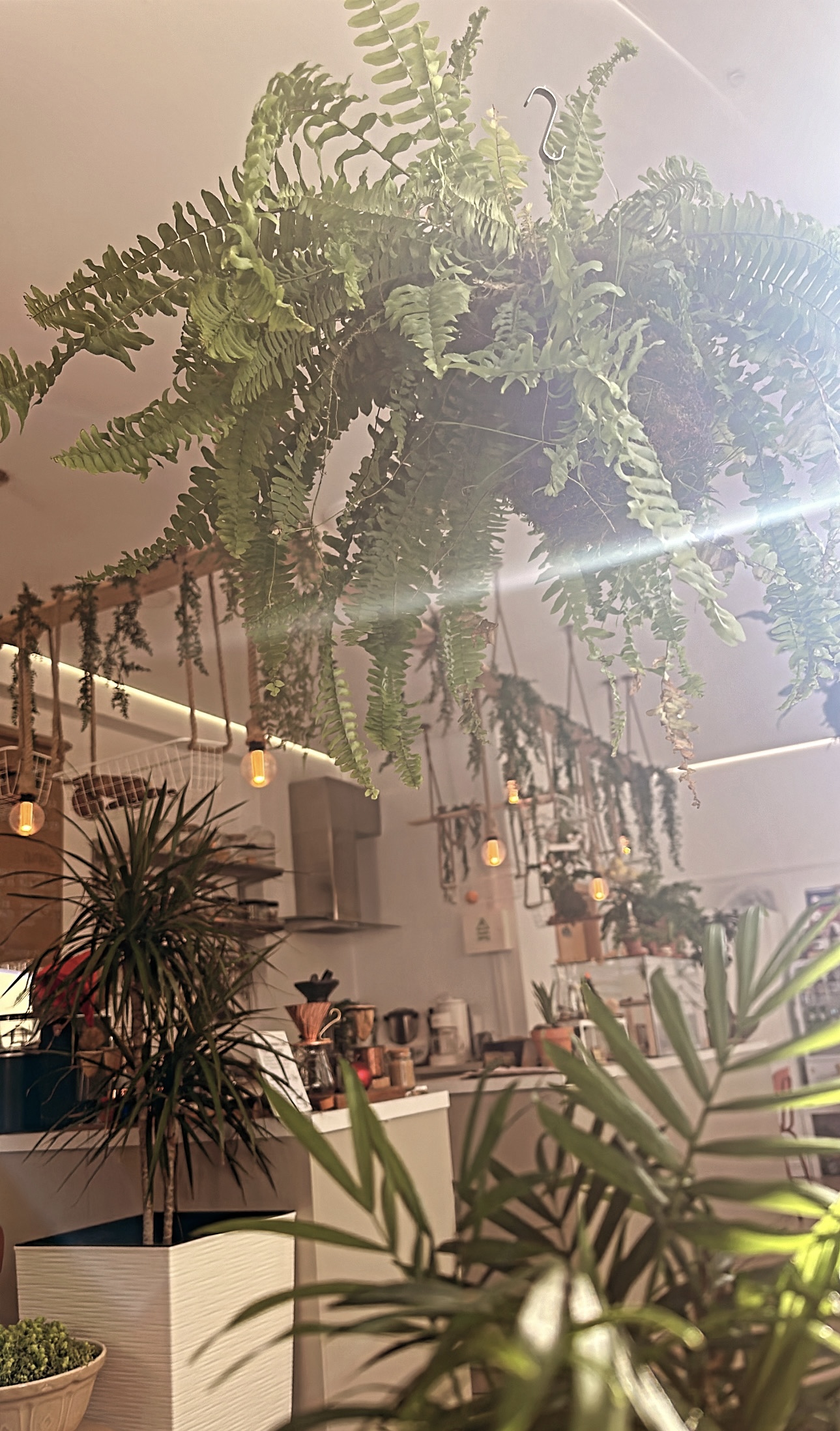 Espaço Essencials Ayurveda