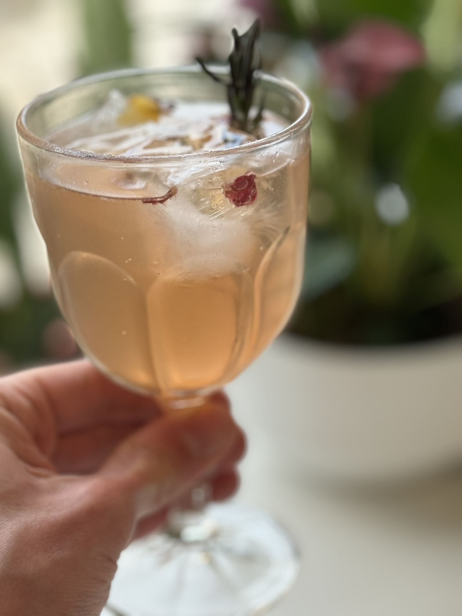 Bebidas
